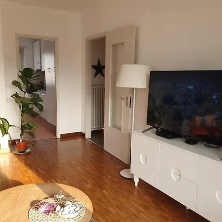 Charming Penthouse Near Chiasso